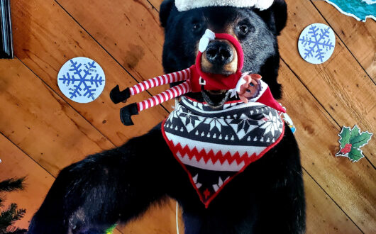 Elf on the shelf and bear