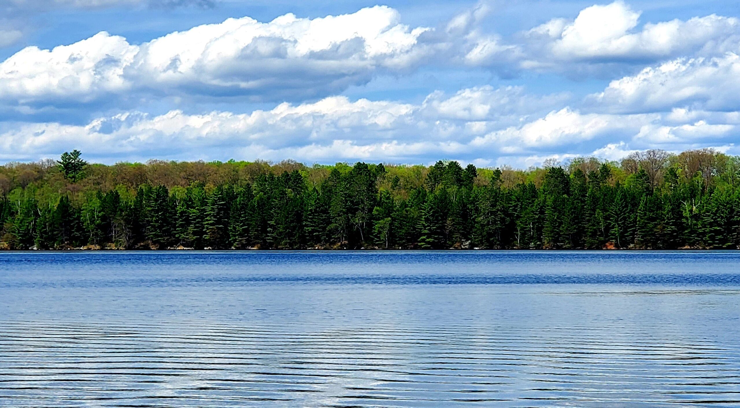 Indian Shores Camping and Cottage Resort — photo 6